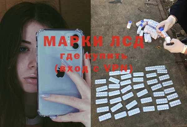 гашик Белокуриха