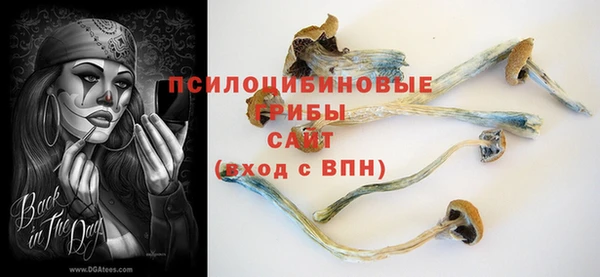 шишки Баксан