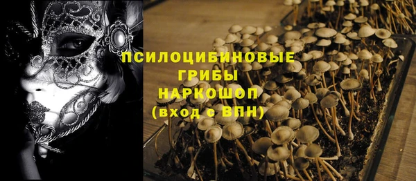 PSILOCYBIN Белоозёрский