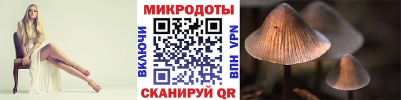 Галлюциногенные грибы Magic Shrooms  Купить где  Остров 